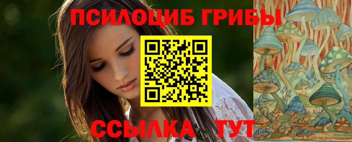Галлюциногенные грибы Psilocybe  Вход с VPN  Ростов-на-Дону 