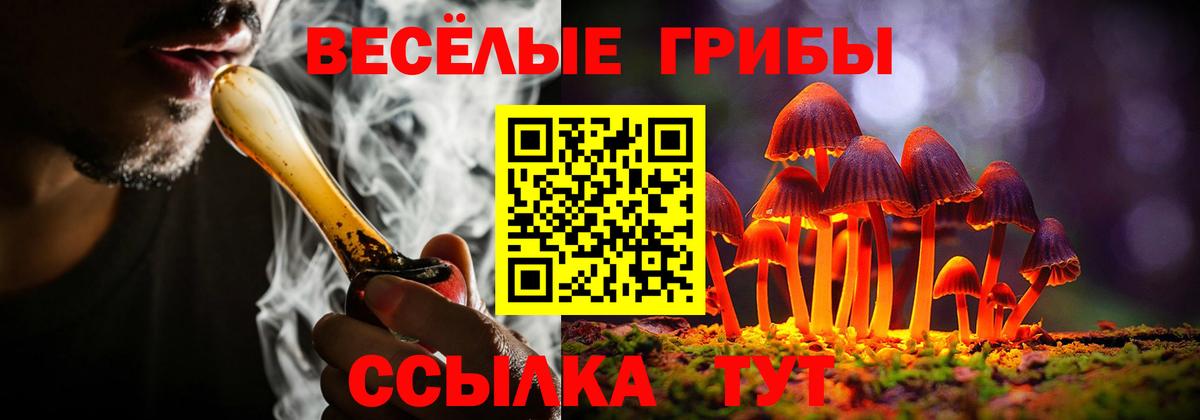 Псилоцибиновые грибы прущие грибы Ростов-на-Дону
